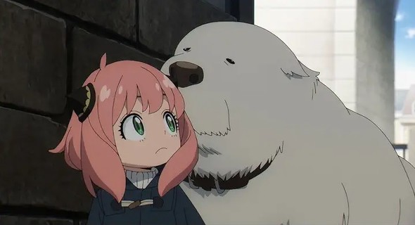 AmazonvC1̎LOF1ʁwSPY~FAMILYx