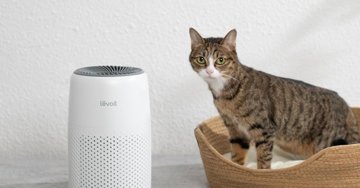 Blueair Blue Max 3250i 空気清浄機 22畳+新品フィルター Amazon.co.jp