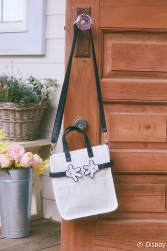 󓇎ЁuDisney ~bL[ V_[obOBOOK produced by Areeamv