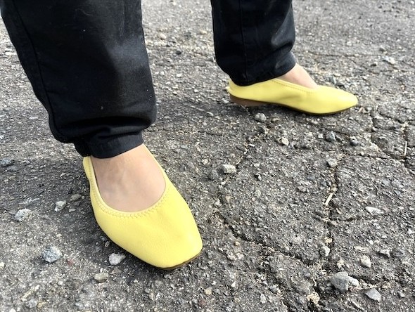 �_�̏�p���v�X �C�G���[�J���[