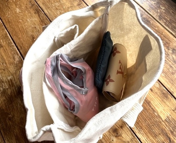 普段使いのバッグに入れて持ち運び