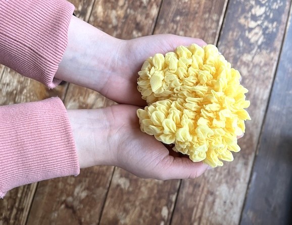 �R���p�N�g�t�����G�R�o�b�O