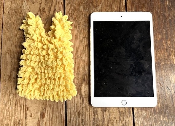 �R���p�N�g�t�����G�R�o�b�O��iPad mini