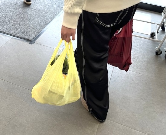 �������Ŏg���Ă݂�