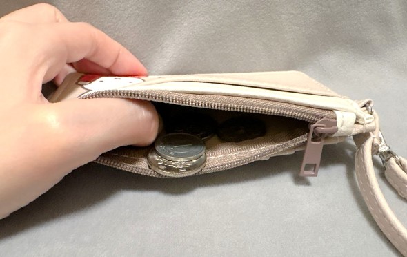 X[YɊJłĒg̊mF₷RCP[X