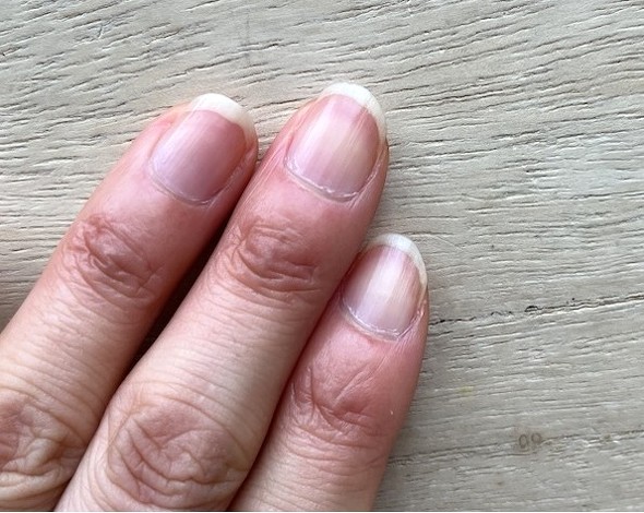 �܂ɂ��h�荞��