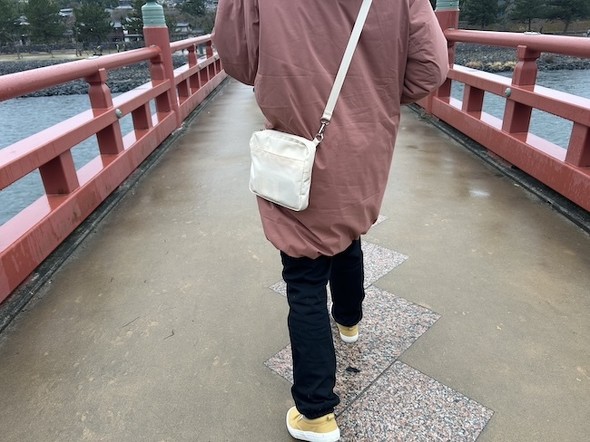 �|�[�`������g�y�Ɏ����������Ƃ��\