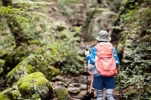 �y���Ĕ��ɂ����u�o�R�����b�N�v���Љ�