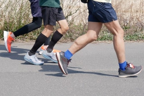 �����j���O���S�҂ɂ������߂́u�V���[�Y�u�����h�v���Љ�