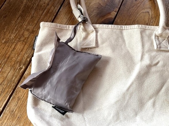 �G�R�o�b�O�����t���Ă݂�