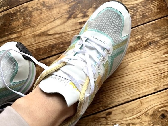 6���Ԍ�ɂ͂������芣����