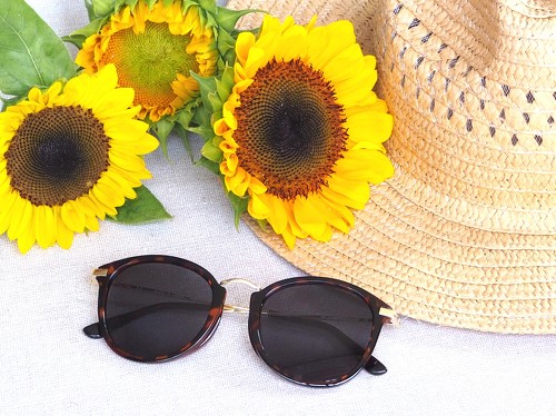 ߂ẮuΌTOXvɂ߂̃fЉ