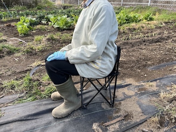 �g����160cm�̐l���g���Ă���Ƃ���