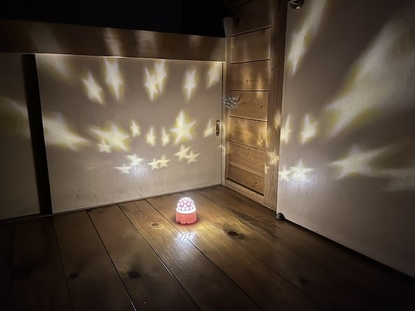 ÂŃ_C\[̃vl^ECggpAǂ≦ɑ̐`eĂlq