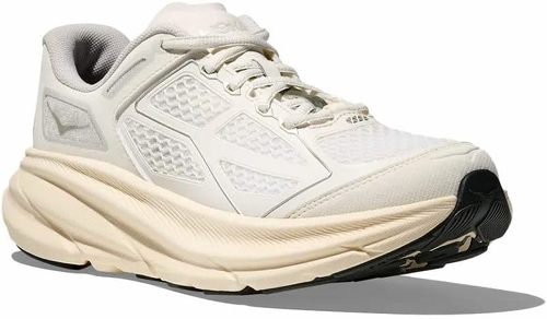 ホカ クリフトン ワン9