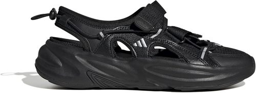 �A�f�B�_�X OZWAVE �T���_��