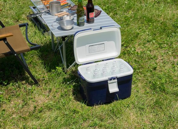 1000~ŔuN[[{bNXv3ILO@500ml{g12{[łI@ẴAEghAEX|[cV[Ɋy2025N7Łz