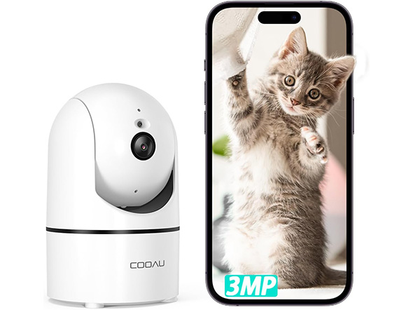 �h�ƃJ����