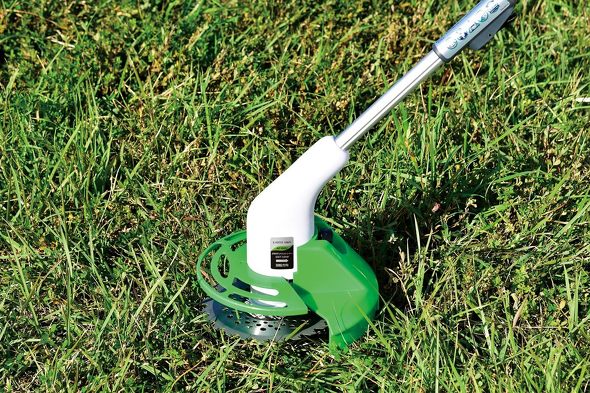 Ău@v3ILO@1[dŖ121i׎jғI@}L^nCR[L̃fsbNAbvy2025N7Łz