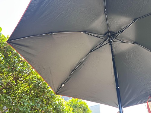 ʂ͍ŃR[eBOĂA͂ȂMʓIɋz