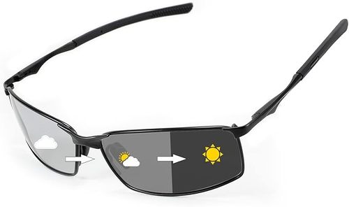 FEISEDY �Ό��T���O���X B1029