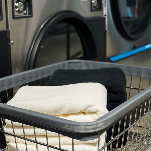 �^�I��������#001 �~�j�o�X�^�I��