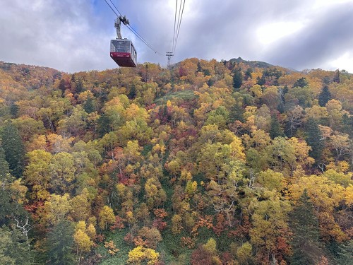 [vEFCł̋󒆎Uy߂鈮x