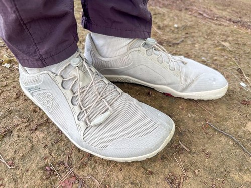 �X�������n�C�L���O���ł���V���[�Y