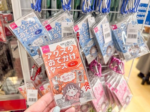 �A�N�X�^������������P�[�X�i���ҎB�e�j