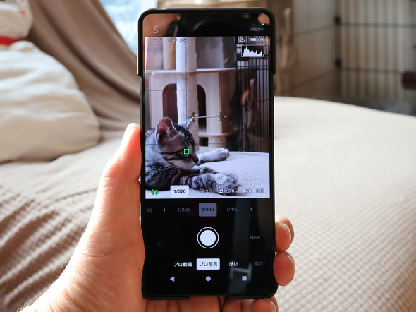 �\�j�[�uXperia 1 VII�v