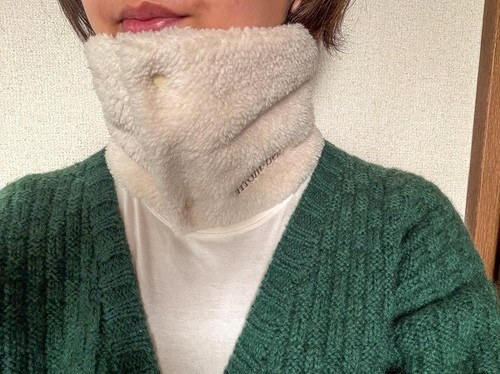 �{�^����2���߂�Ɨ�C����������K�[�h