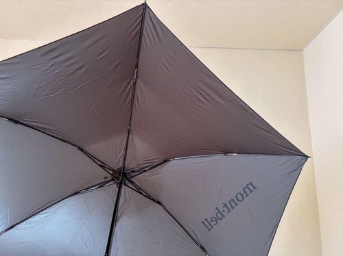 �����͖�50cm�ƒ����Ȃ����߁A����o�b�O���ʂ�邱�Ƃ�����