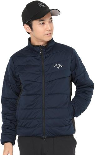 �L�����E�F�C �X�^�[�X�g���b�`���ȃu���]��