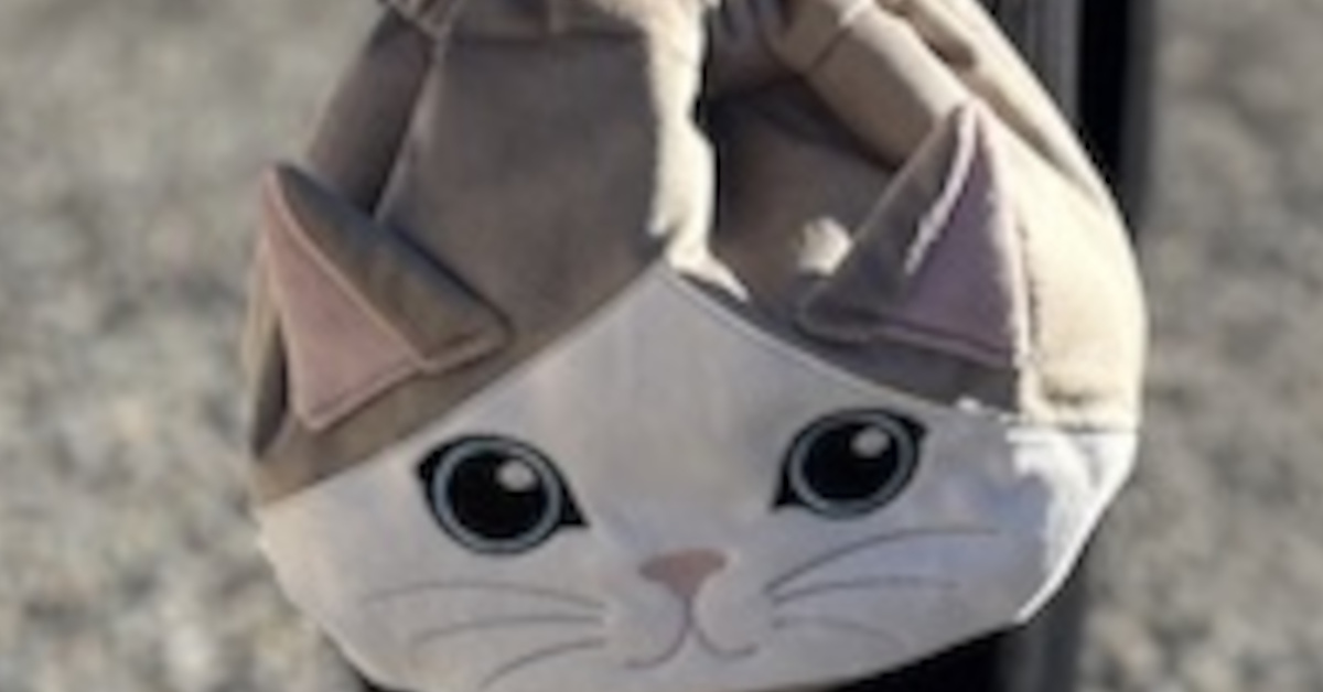 紀ノ国屋】のねこの日グッズがかわいい！ 「保冷巾着 ハチワレ」は