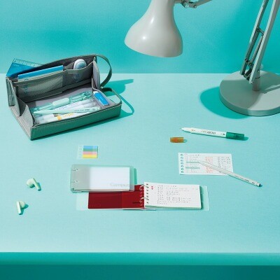 �R�N�� �L�����p�X �g���[�ɂȂ��Ĉꗗ�ł���y���P�[�X