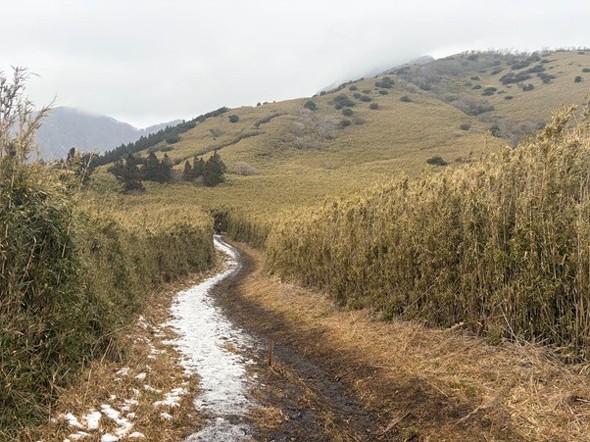 �R�[�X�㔼�B���߂̋������i�F���y���݂Ȃ�������΂����Ƃ�����