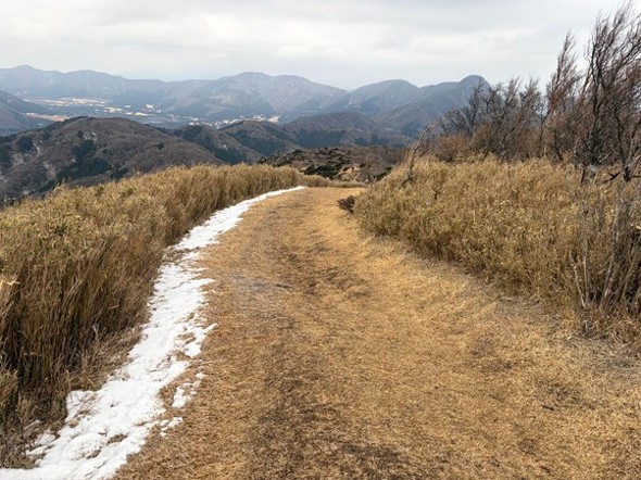 ���E���J���Ă���B���Ɍ�����̂������R