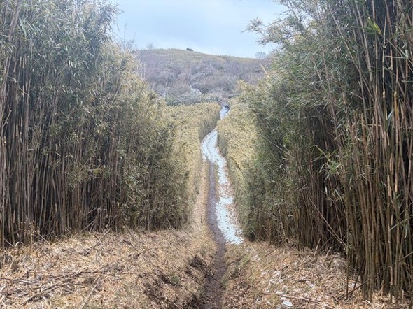 �~�`�t�̂͂��߂͓�����ϐ�ɔ����悤