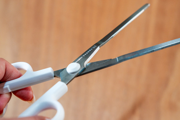 �͂��݂̕��ʂ��ƂɁu���ށE�؂�E�i��v�̈قȂ������S��