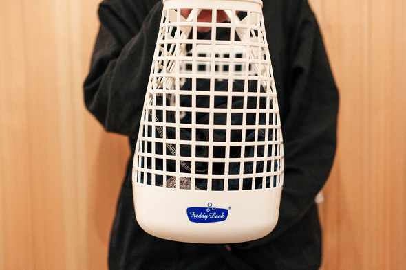 �X�����ł���Ȃ���e�ʂ��[��