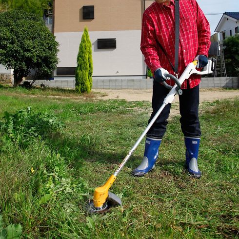 5000�~��Ŕ�����g�����o�C�u���[�^�[�h���l�C�B������Ă���u������@�v��������3�I�������L���O�y2026�N4���Łz