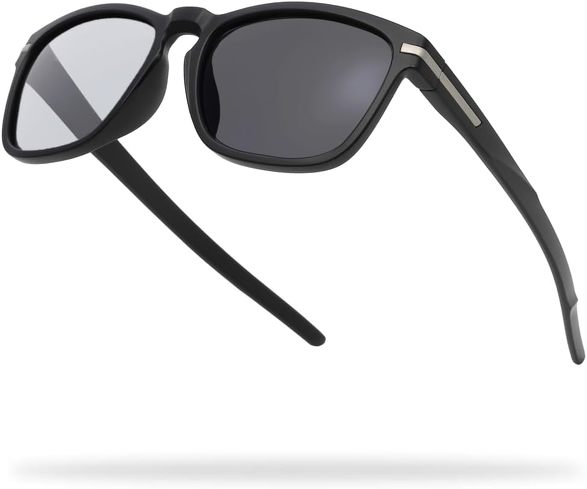 �Ό��T���O���X�FTORINOX�uARQ BASIC MODEL�v