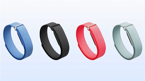 Google Fitbit Air�i�p�t�H�[�}���X���[�v�o���h�j