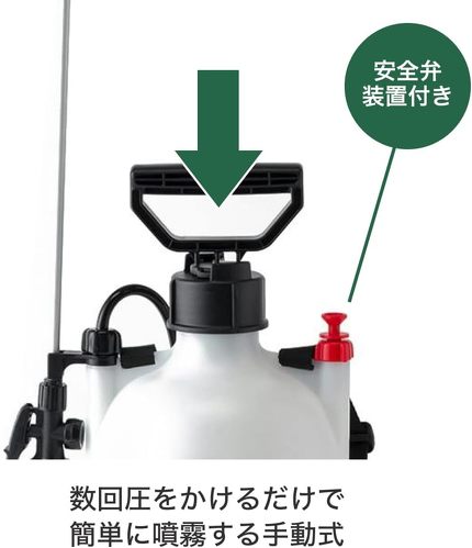 �摜