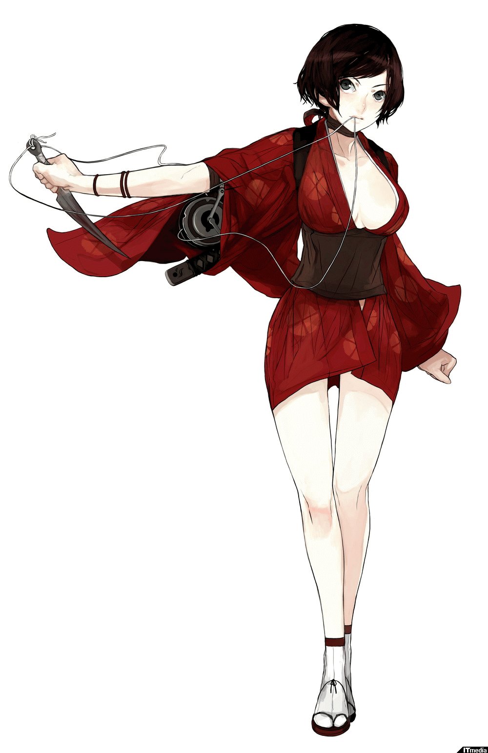 紅忍(レッドニンジャ) ～血河の舞～ - ゲームソフト