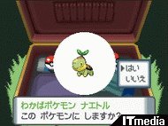 これが最初の仲間になるポケモン ポケットモンスター ダイヤモンド パール 1 6 ページ ねとらぼ