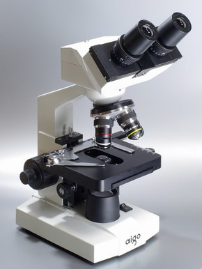 ミクロの世界へようこそ デジタル顕微鏡 Ev5680b で見る極彩色に魅了される 美しすぎる 1 4 ページ ねとらぼ