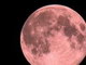 地球滅亡の日は分からないが次に起きる月食なら分かる——君は国立天文台暦計算室を知っているか