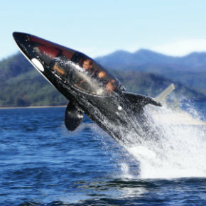 シャチ型の2人乗り潜水艦 Killer Whale Submarine がカッコイイ ねとらぼ