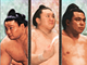 初の日本相撲協会公認ソーシャルゲーム：どすこいすぎるカードゲームついに登場　グリーの「大相撲カード決戦」配信開始
